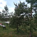 Kohvikann *