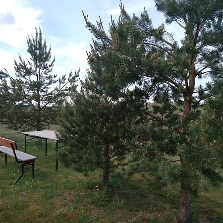 Guesthouse Kohvikann *