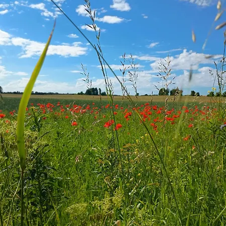 Kohvikann * Palmse