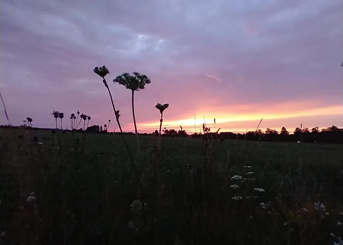 Guesthouse Kohvikann Vikendica