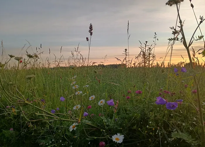 Guesthouse Kohvikann *